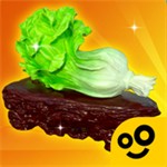 �Ŷ��������