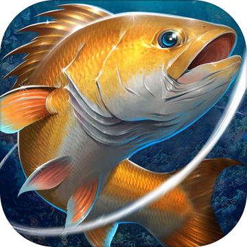 ��������ڹ���