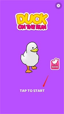 ���ܵ�Ѽ�����İ���ɫ����������