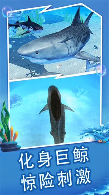 ���״���ɱ�����������޸�������