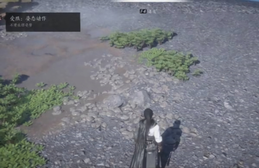 ʮҵгɻô ʮҵгɻ̳