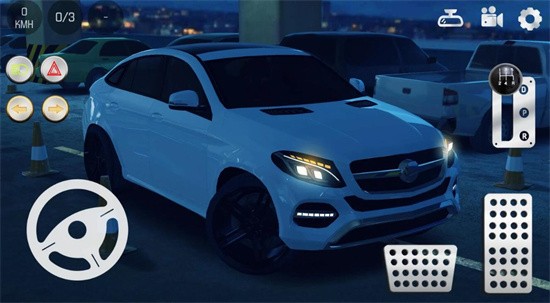 ��ʵ����2���޽�Ұ���������