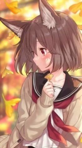 ��ѡ������Ѱ����߿�