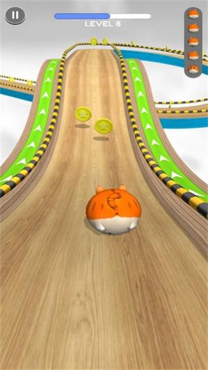 �����ܿ�