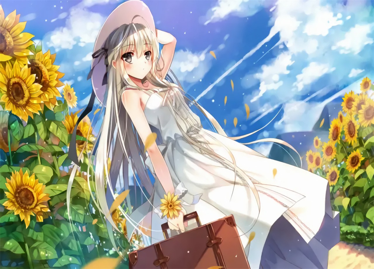 Ե֮����ֲ��