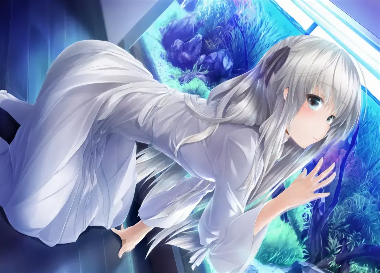 Ե֮����ֲ��