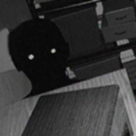 Ѱ��α���ֻ���