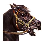 �����뿳ɱս���ֻ������İ�