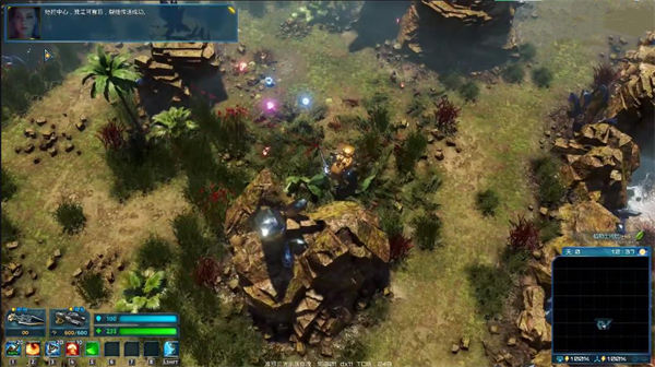 ������������ɫ��