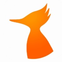 ����Ӱ��