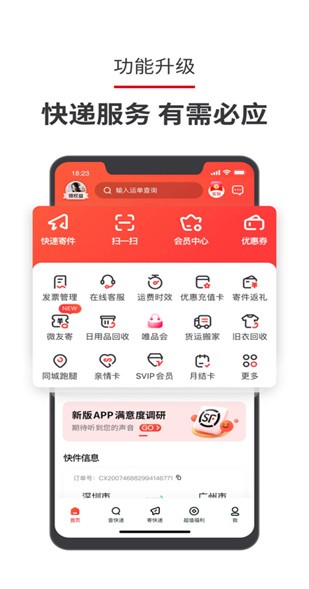 ˳�����˲�ѯ����2022