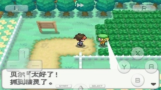 �ڴ����ְ�2����ָ����