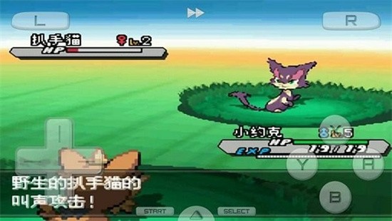 �ڴ����ְ�2����ָ����