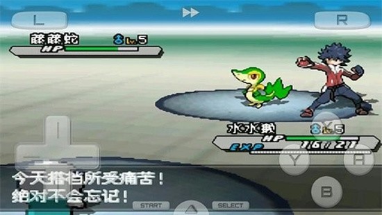 �ڴ����ְ�2����ָ����