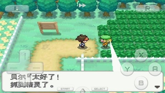 口袋妖怪白2金手指下载