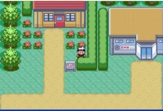 �ڴ����ֺ챦ʯ�ֻ����޹������ذ�װ