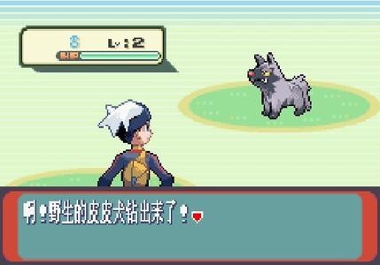 �ڴ����ֺ챦ʯ�ֻ����޹������ذ�װ