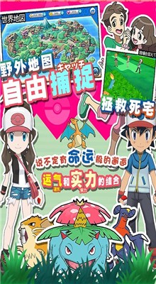 ���������ɫ������