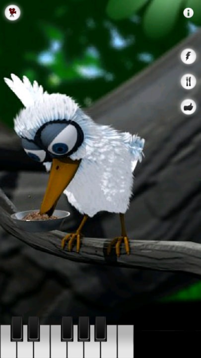 ��˵�������������İ�