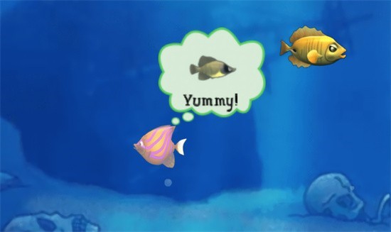 ��ʳ����ɫ�����޽��������ʯ����