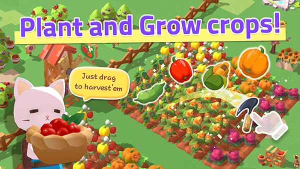 è��̽�ռ����°���ɫ�����ò˵�����