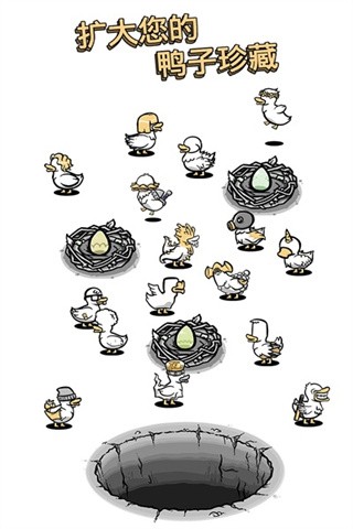 ��Ѽ������ɫ�����������