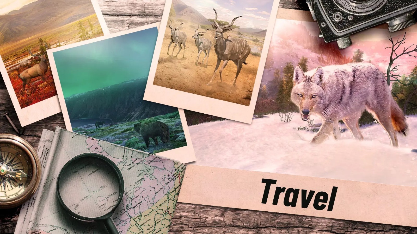 ���Գ�ͻ���ʷ��ٷ�����