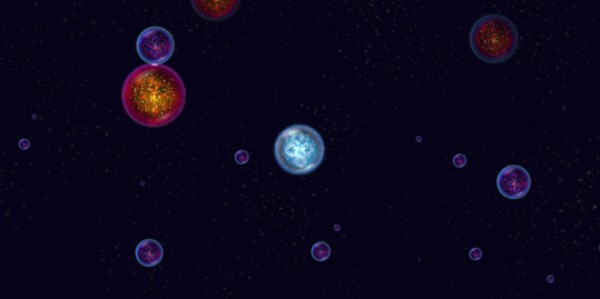 �������������������ֻ���