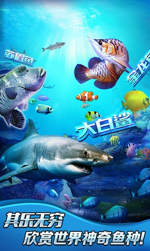 ȫ�����2������ʯ����ʵ����֤����