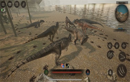 �����app����