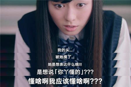 �վ���app����2022