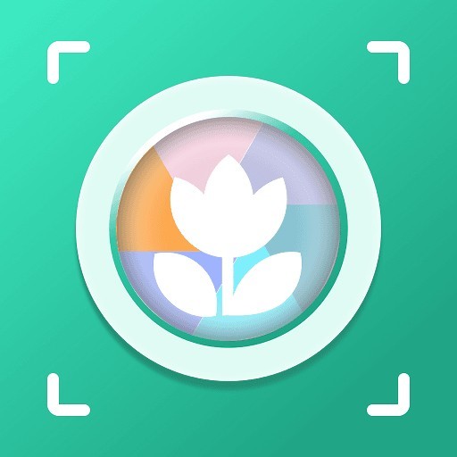 ����ʶͼƻ����