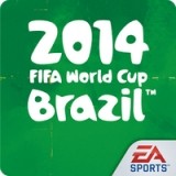 FIFA2014�������籭