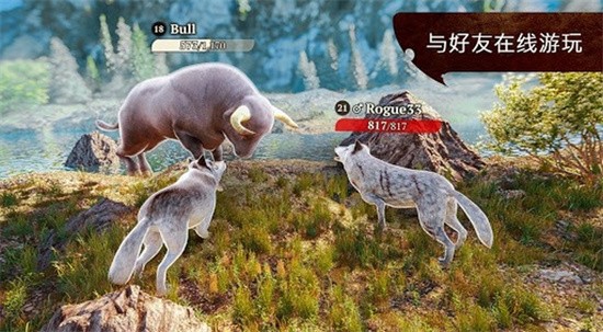 ������������