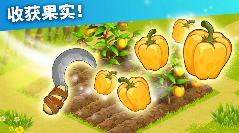 ��ͥ�����ò˵����޽�Ұ����ذ�װ