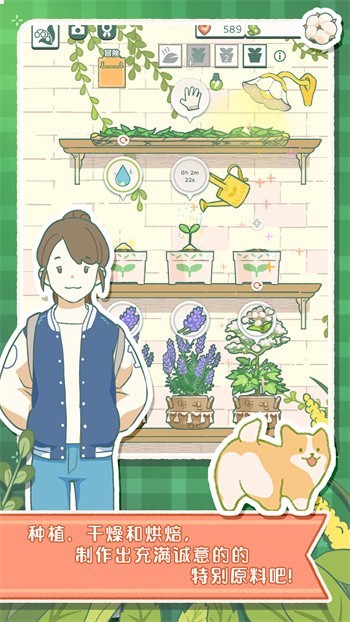 ���Ĳ�����ɫ���޹�����޽�Ҳ�ʵ������