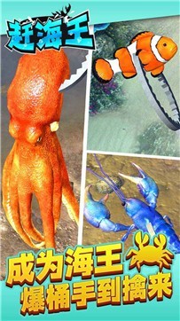 �Ϻ���������ɫ������