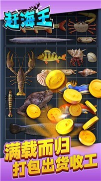 �Ϻ���������ɫ������