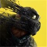 �ʺ���������