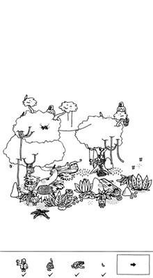 ���صļһ���ɫ����������