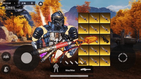 �޹������������������