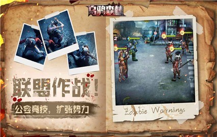 ��ѻɭ�ְ�׿��ɫ������