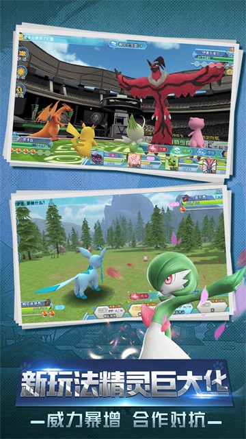 ����С�ȳ������