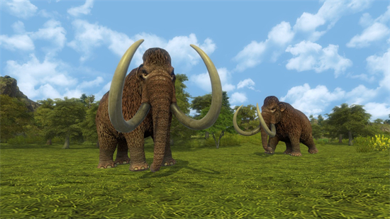 �����������İ�����