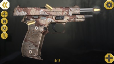 ǹеģ������ɫ����������