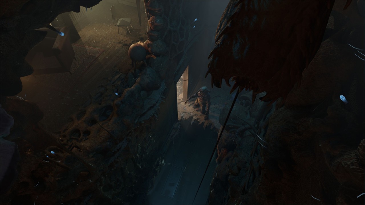 �������־�֮�����İ�����