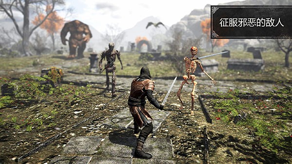 ��ħ����Ϸfc����