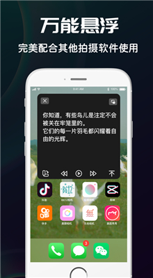 �����app�������