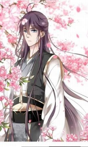 ������app���°汾