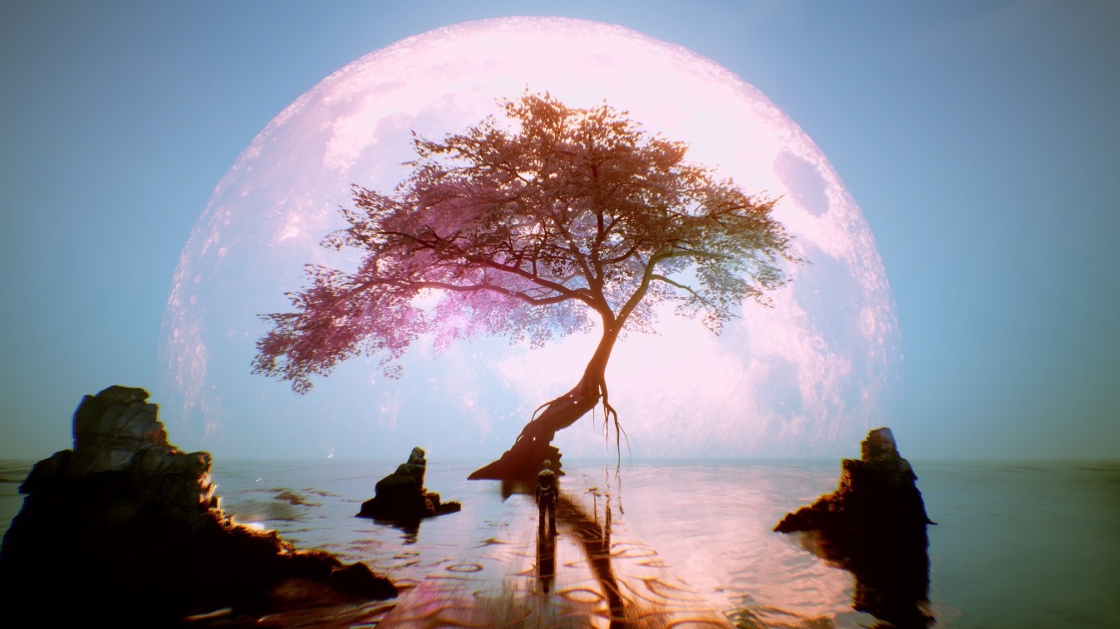 ������:������������